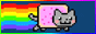 A button featuring Nyan Cat