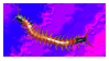 A stamp of a centipede wiggling around ontop of a rainbow background